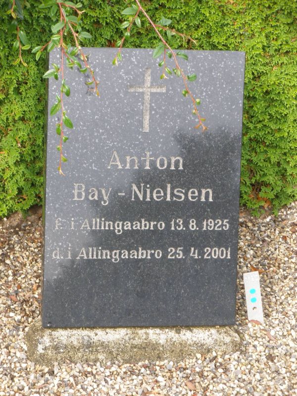 Anton Bay - Nielsen.JPG